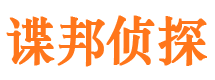 景宁市调查公司